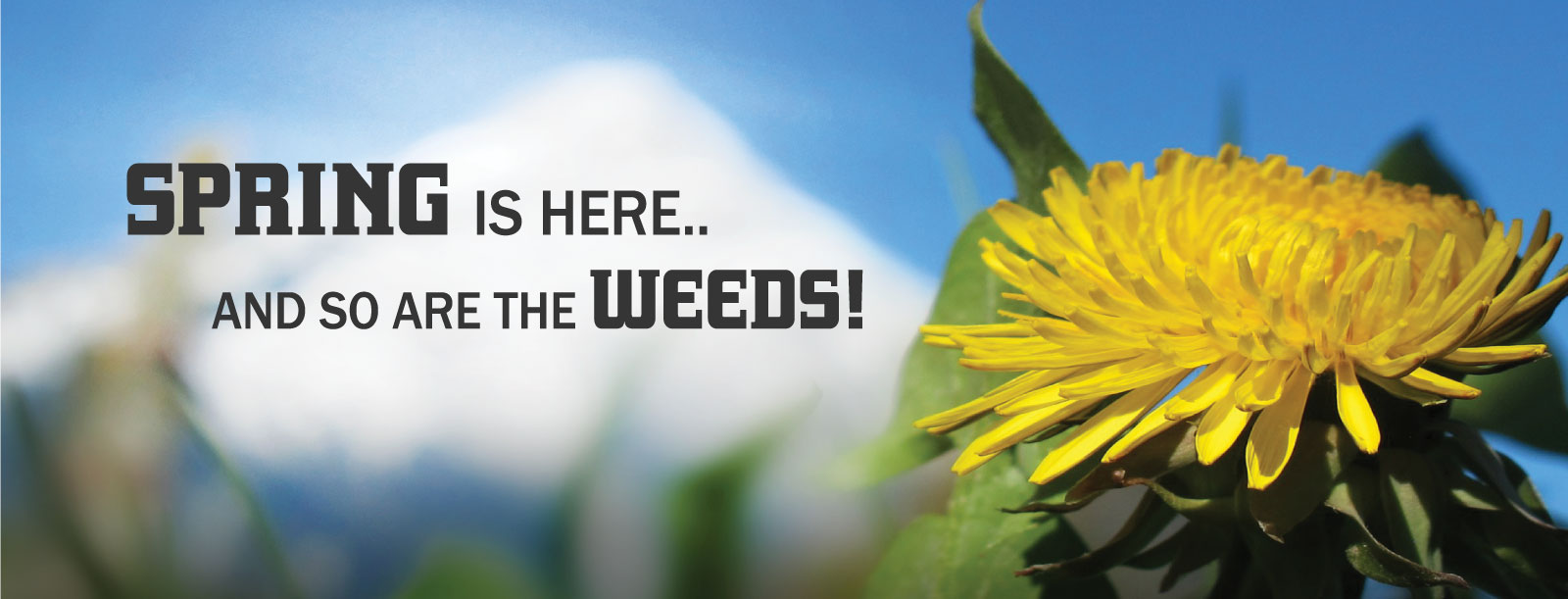 406 weed control slide 1