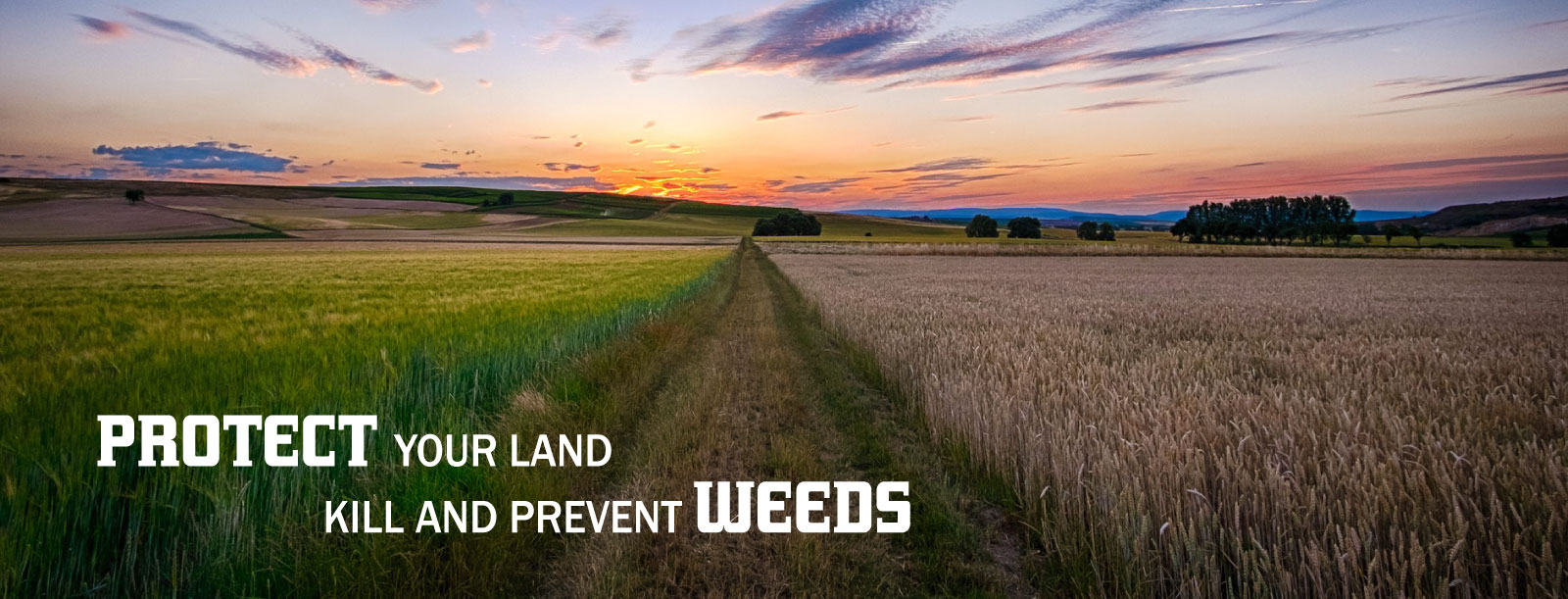 406 Weed Control - slideshow2